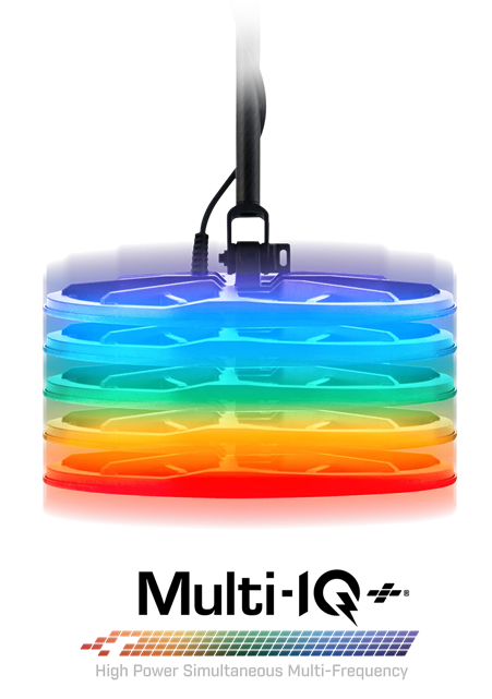 Minelab - website - multi iq